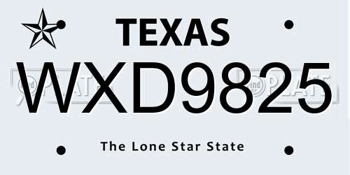 WXD9825 Texas License Plate