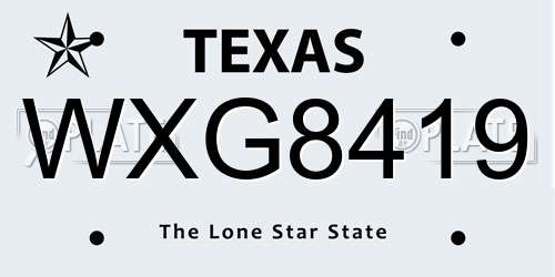 WXG8419 Texas License Plate