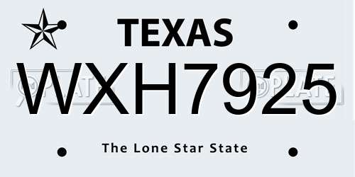 WXH7925 Texas License Plate