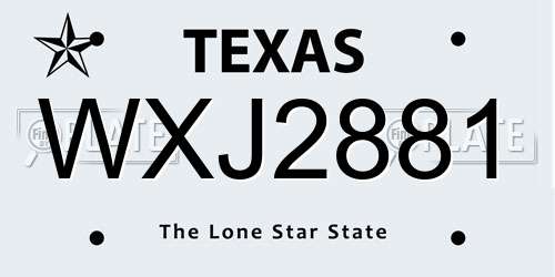 WXJ2881 Texas License Plate