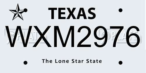 WXM2976 Texas License Plate
