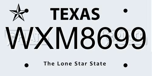 WXM8699 Texas License Plate