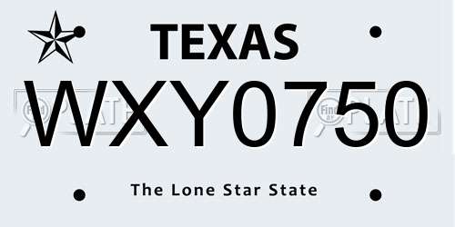 WXY0750 Texas License Plate