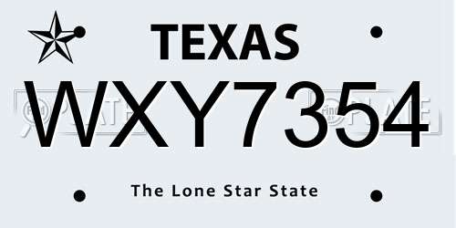 WXY7354 Texas License Plate