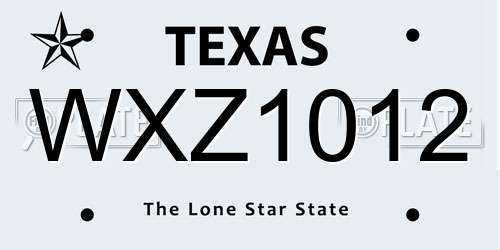 WXZ1012 Texas License Plate
