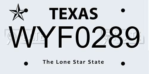 WYF0289 Texas License Plate