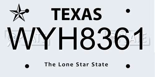 WYH8361 Texas License Plate