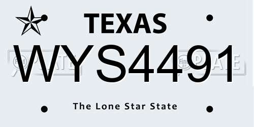 WYS4491 Texas License Plate
