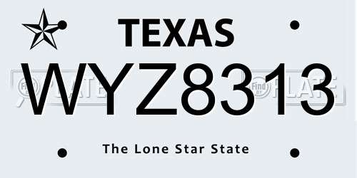 WYZ8313 Texas License Plate