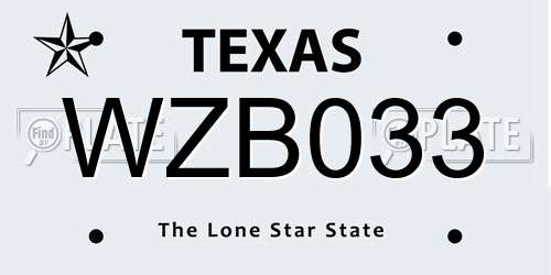 WZB033 Texas License Plate