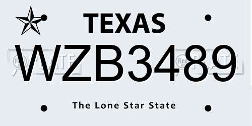 WZB3489 Texas License Plate