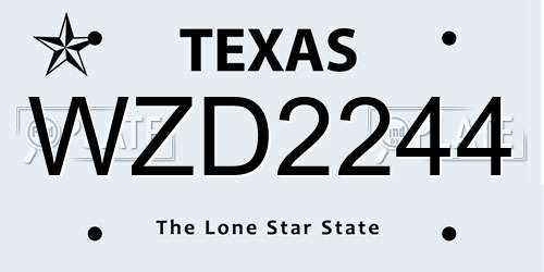 WZD2244 Texas License Plate