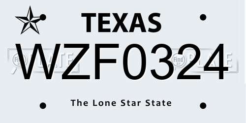 WZF0324 Texas License Plate