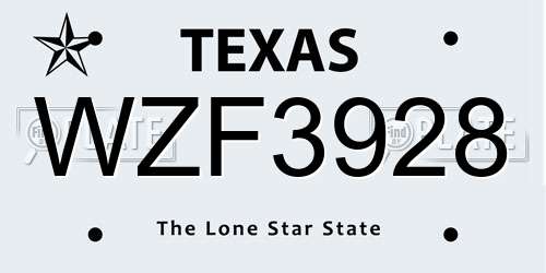 WZF3928 Texas License Plate