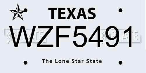 WZF5491 Texas License Plate