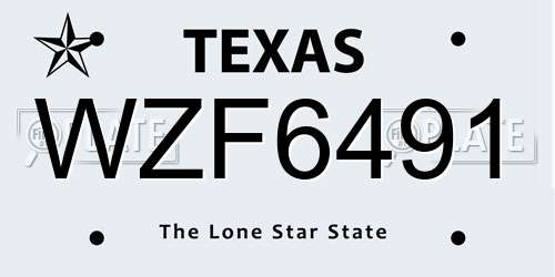 WZF6491 Texas License Plate