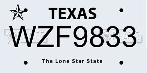 WZF9833 Texas License Plate
