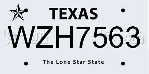 WZH7563 Texas License Plate