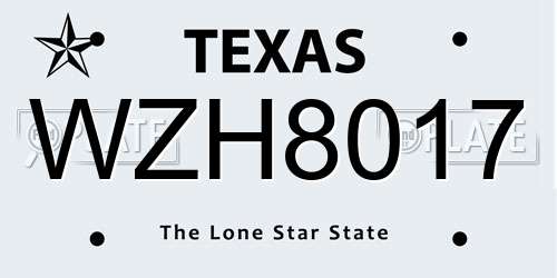 WZH8017 Texas License Plate
