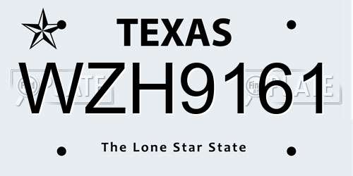 WZH9161 Texas License Plate