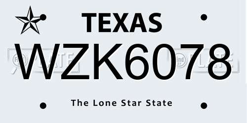 WZK6078 Texas License Plate