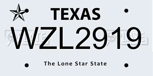 WZL2919 Texas License Plate