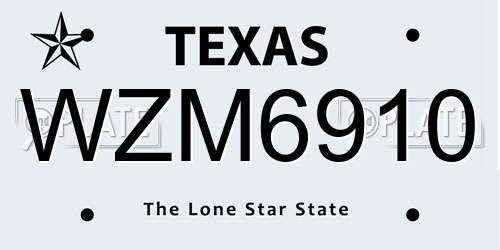 WZM6910 Texas License Plate