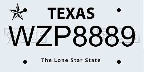 WZP8889 Texas License Plate