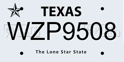 WZP9508 Texas License Plate