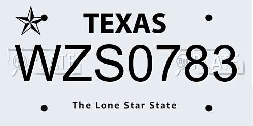 WZS0783 Texas License Plate