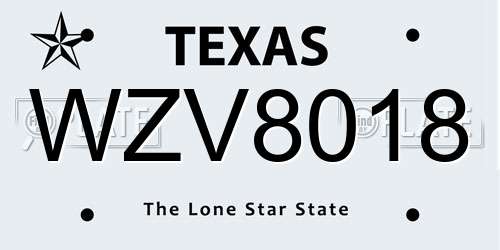 WZV8018 Texas License Plate