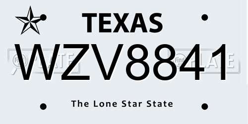 WZV8841 Texas License Plate