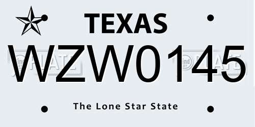 WZW0145 Texas License Plate