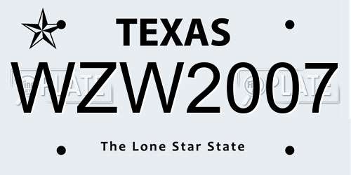 WZW2007 Texas License Plate