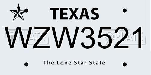 WZW3521 Texas License Plate