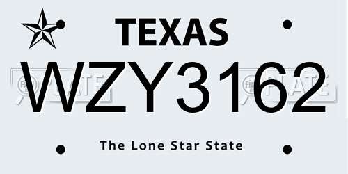 WZY3162 Texas License Plate