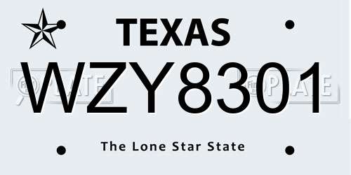 WZY8301 Texas License Plate