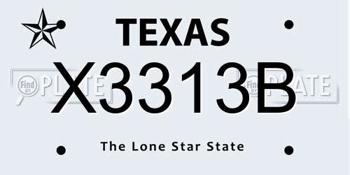 X3313B Texas License Plate