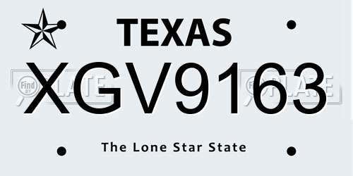 XGV9163 Texas License Plate
