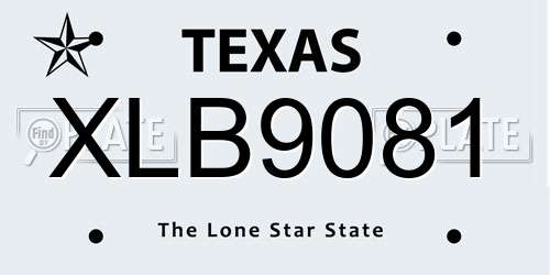 XLB9081 Texas License Plate