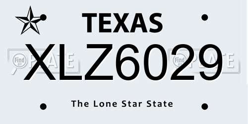 XLZ6029 Texas License Plate