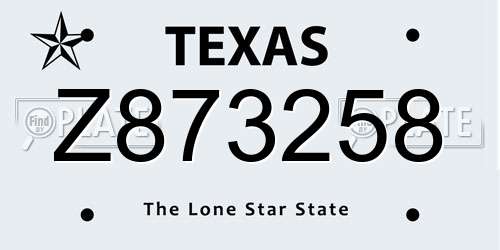 Z873258 Texas License Plate