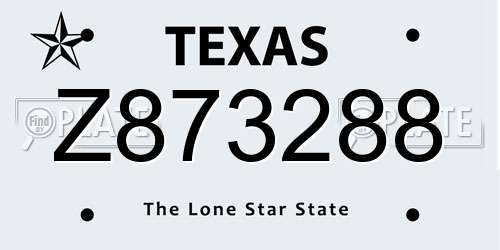 Z873288 Texas License Plate