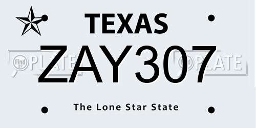 ZAY307 Texas License Plate