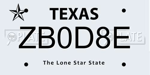 ZB0D8E Texas License Plate