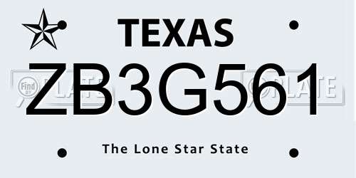 ZB3G561 Texas License Plate