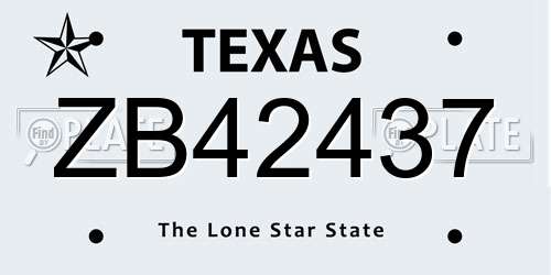 ZB42437 Texas License Plate