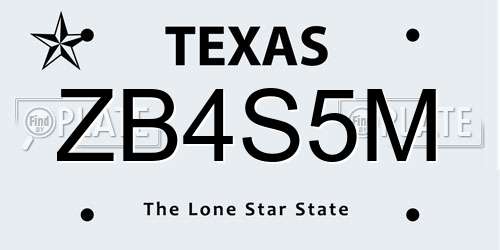 ZB4S5M Texas License Plate