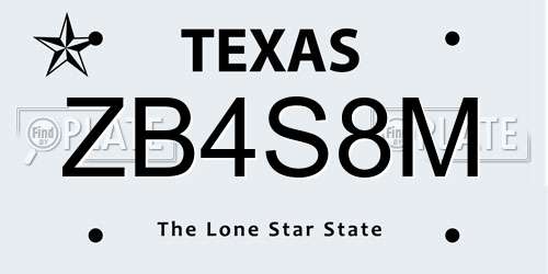 ZB4S8M Texas License Plate