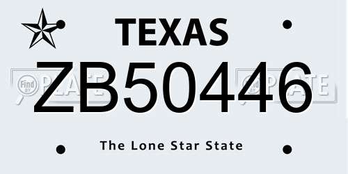 ZB50446 Texas License Plate